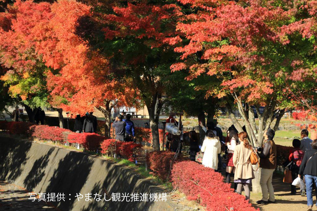 紅葉祭